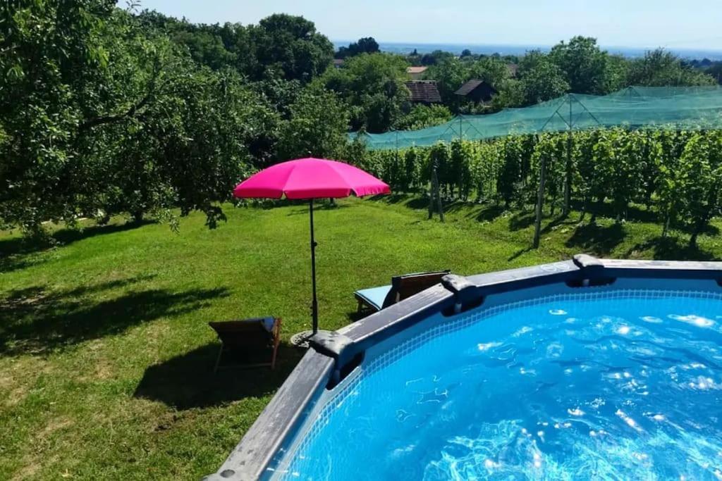 Kuca Za Odmor Villa Cesarica - Zagreb Graberje Ivanićko Exteriér fotografie