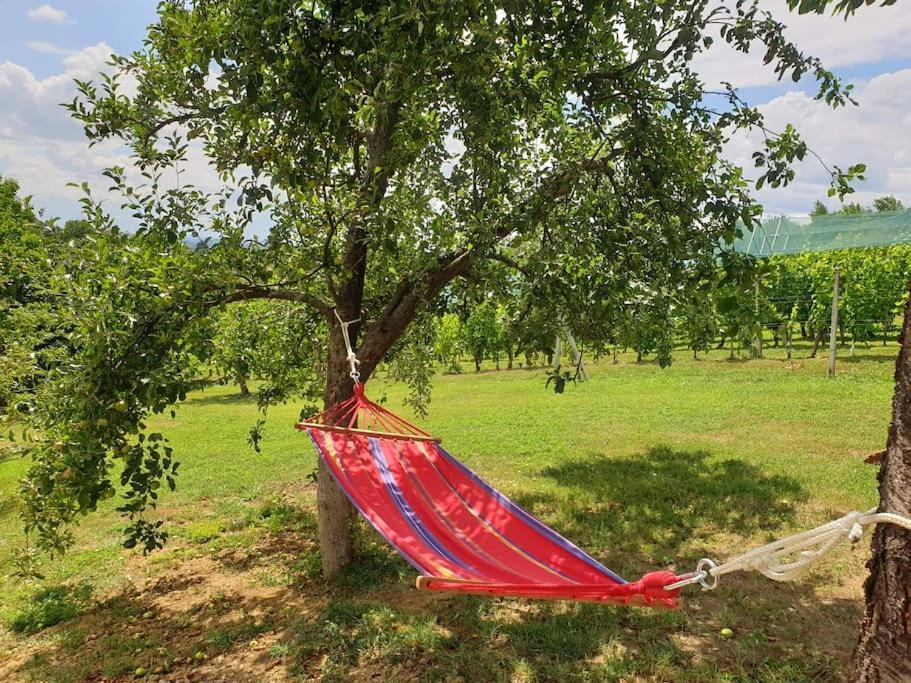 Kuca Za Odmor Villa Cesarica - Zagreb Graberje Ivanićko Exteriér fotografie